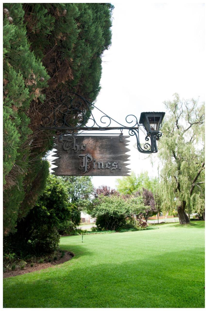 Shady Pines Guest House Harrismith Dış mekan fotoğraf